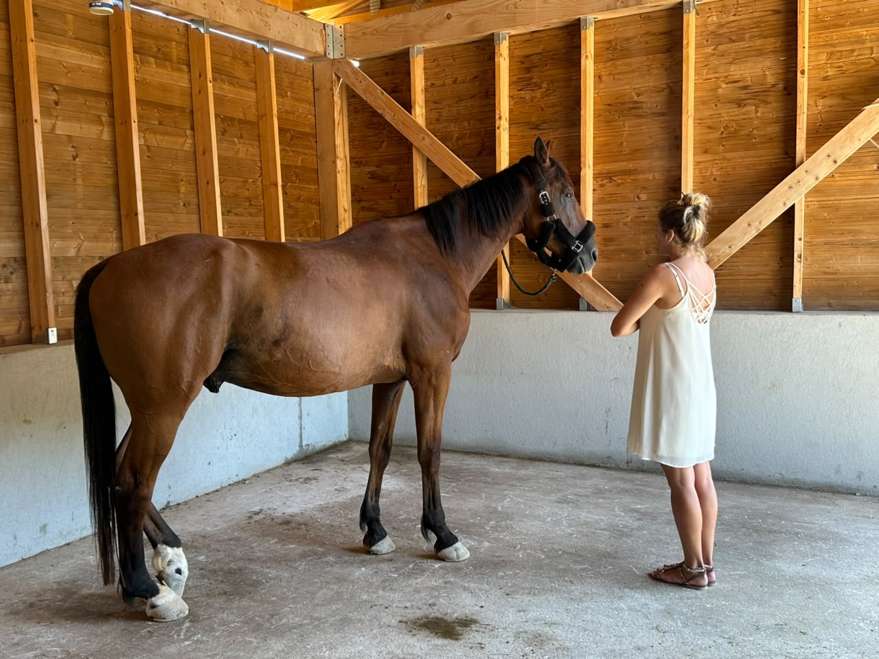 Face à face avec le cheval, en présence et en communication